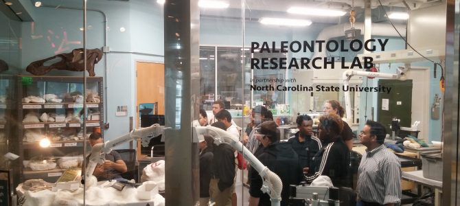 Tools in their Hands