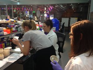 Teaming with Bacteria. 
