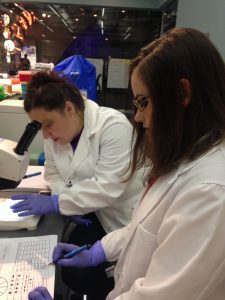They are hard working teachers looking for bacteria. 