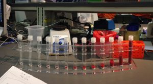 We learned about how PCR makes the MiSeq possible. These tubes show the progression of how a single strand of DNA can be copied 1 billion times with 30 cycles within 2.5 hours. 