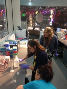We were making gel for the electrophoresis. 
