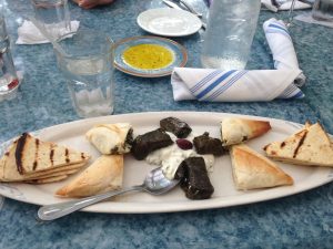 Both teachers and scientists work better during PD with a little Greek Food. 