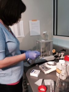 Measuring out ingredients for the media. We will be plating bacteria later. 