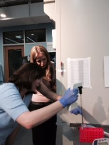 We are still measuring liquids for the media. 