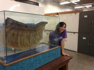 So in the collections, there are whale parts. This part of a whales mouth (teethish) made me think of Marlin and Dory...Oh Look Krill! 