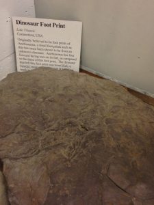 I can't believe that they have a sample of a dinosaur footprint. 