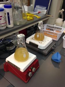 We made these Agar medias to pour into plates to feed our bacteria. 