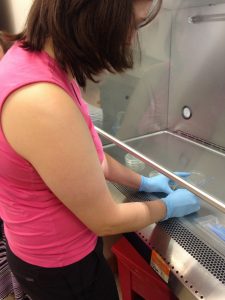Look how hard I am working at trying to write on a plate covered in agar using bacteria as my ink. It is trickier than you might imagine. 