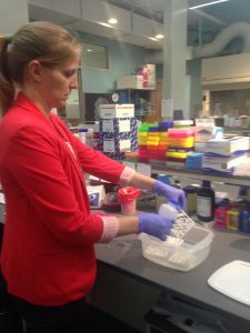 The mazes have been soaking in 10% bleach to KILL bacteria. Doc is spraying down the maze to rinse of the bleach...so we can grow bacteria. Isn't it funny how science works! 