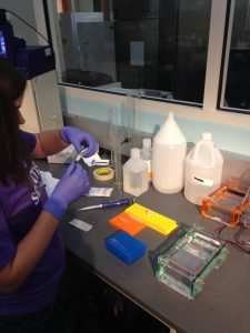 We were looking for the dye to mix with our PCR. This way we can see the bacteria baby daddy! 