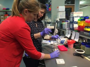 Doc and I are pipetting agar to keep our mazes in place. 