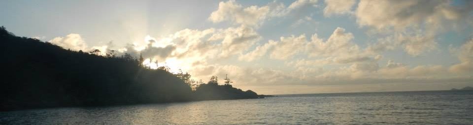 Maggie McKinley's Blog