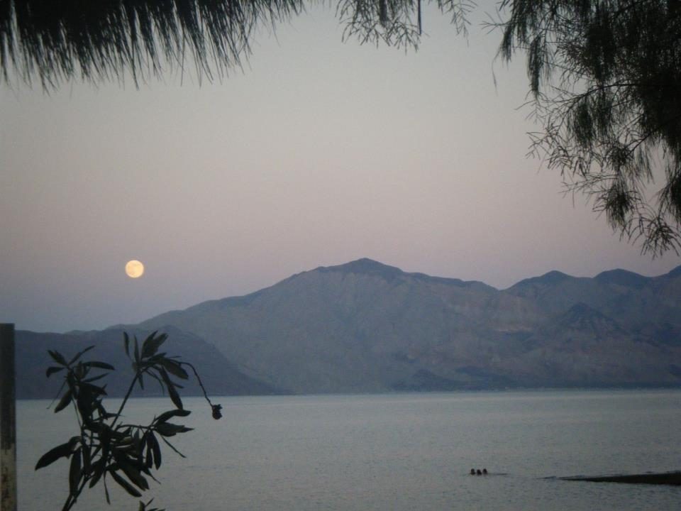 Maggie McKinley's Blog