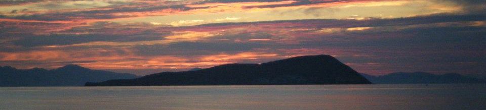 Maggie McKinley's Blog