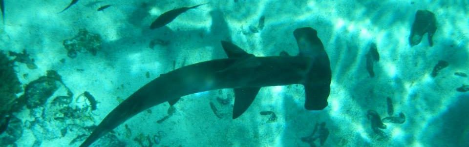 Maggie McKinley's Blog