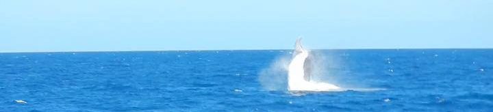 Maggie McKinley's Blog