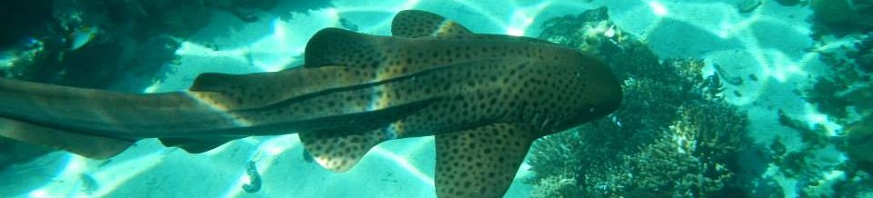 Maggie McKinley's Blog