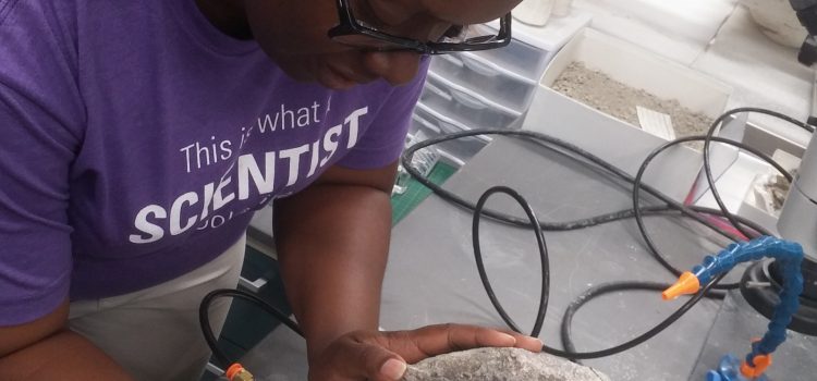 Citizen Science Experience