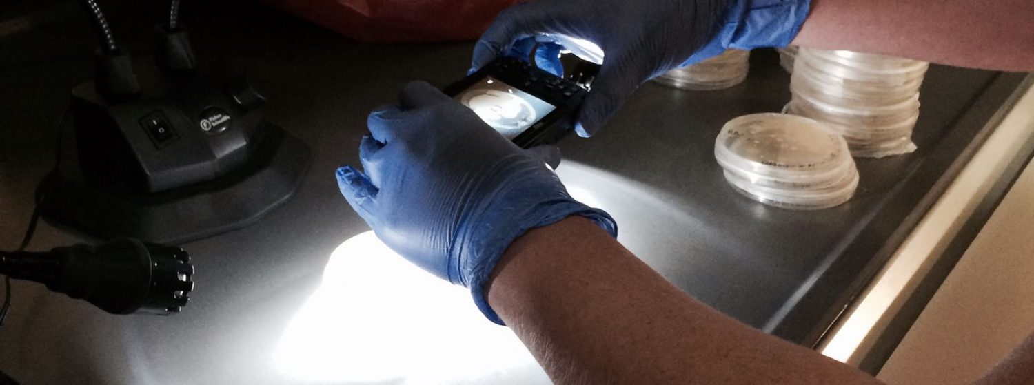 Melissa Wise-Harris's Blog