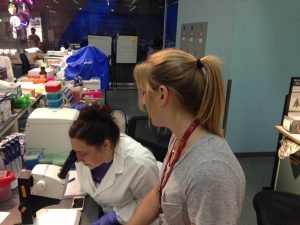 13576752_1172496356106037_4242485889399518500_o