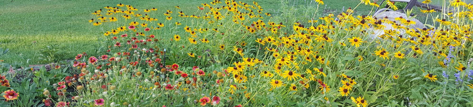 Journey with a Smile