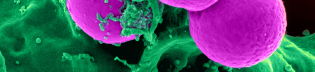 Clare Matusevich's Blog