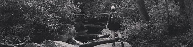 Emily Explores Education