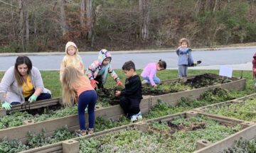 Students plant a school garden.