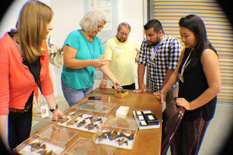 Kenan Fellows work on a project at NC Science Museum